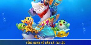 Một vài chú ý khi chơi game bắn cá Tài Lộc