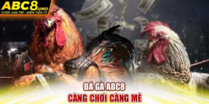 Cách lên cựa gà chuẩn tại ABC8 - Tăng cơ hội chiến thắng