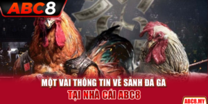 Đá gà trực tiếp ABC8 - Chiến thuật cược hiệu quả cho Tân thủ