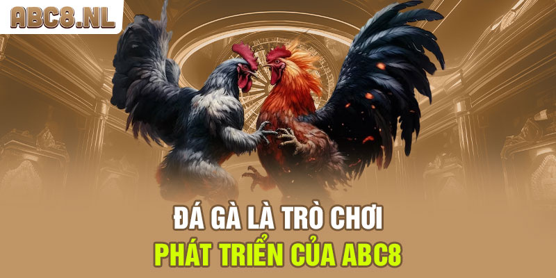 Gà Chuối tại ABC8 - Tìm hiểu về đặc điểm và cách chăm sóc