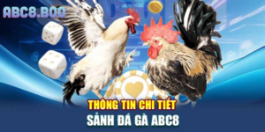 Luật gà đá ABC8 - Nơi tận hưởng các trận đấu gà kịch tính